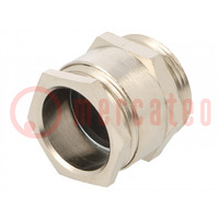 Cable gland; PG21; IP54; brass