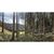 Anwendungsbild zu KÜBLER nadrágtartó Forest piros/fekete szélesség 50 mm