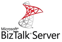 Microsoft BizTalk Server Open Value License (OVL) 2 Lizenz(en) 1 Jahr(e)