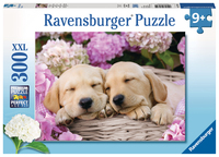 Ravensburger 4005556132355 300 pz