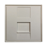 Tripp Lite N042E-WM1-S placa de pared y cubierta de interruptor Blanco