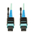 Tripp Lite N846-03M-24-P MTP/MPO Patch Cable with Push/Pull Tab Connectors, 100GBASE-SR10, CXP, 24 Fiber, 100Gb OM3 Plenum-rated - Aqua, 3M (10 ft.)