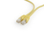 Gembird PP6U-0.25M/Y kabel sieciowy Żółty 0,25 m Cat6 U/UTP (UTP)