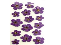Aufkleber Artoz Artwork Blumenblätter violett 15St violett
