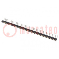 Socket; pin strips; female; PIN: 40; turned contacts; angled 90°