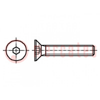 Screw; M3x8; 0.5; Head: countersunk; hex key; HEX 2mm; steel; zinc