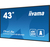 iiyama ProLite Digital signage flat panel 108 cm (42.5") LCD Wi-Fi 500 cd/m² 4K Ultra HD Black Built-in processor Android 11 24/7