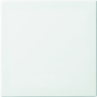 ABB BUSCH- 6735/10-914 FOH-BEDIENINGSWIP ENKEL BALANC