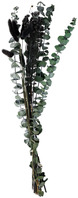 Trockenblumenbundle Benira; 51 cm (L); dunkelgrün/schwarz