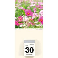 Kalenderrückwand für 301 und 302, Blumen sortiert ZETTLER 609774