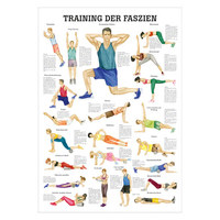 Mini-Poster &quot;Training der Faszien&quot;, LxB 34x24 cm, Nicht Laminiert