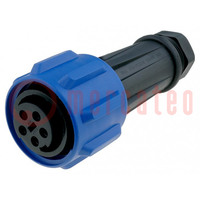 Connector: circular; plug; female; PIN: 5; Buccaneer 900; for cable