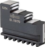 Drei-Backen-Satz DIN 6350 DB 250 mm Röhm