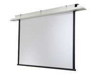 Celexon Professional 300 x 169 cm Projektionsleinwand 16:9