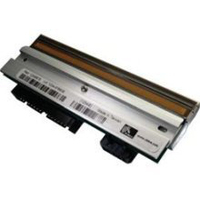 Zebra P1004237 testina stampante Trasferimento termico
