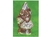 Postkarte Art Bula 10,5x14,8cm Osterhasen-Paar Schokolade