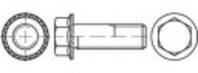 TOOLCRAFT TO-5444703 Fogazott csavar M10 25 mm külső hatlap 88933 200 db