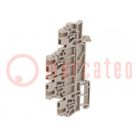 Splice terminal: rail; 1.5mm2; ways: 2; terminals: 4; beige; wemid