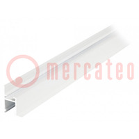 Profilo per moduli LED; bianco; L: 1m; FRAME14; alluminio