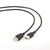 Gembird 3m USB 2.0 A M/FM USB-kabel USB A Zwart