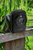 Technaxx TX-164 1/2.7" Kompaktowy aparat fotograficzny 2 MP CMOS 1920 x 1080 px Czarny