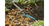 Gardena 3168-20 rastrillo Rastrillo de jardín Turquesa Acero
