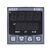 West Instruments P6100 PID Temperaturregler, 1 x Linear Ausgang, 24 → 48 V ac/dc, 48 x 48mm