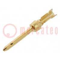 Contact; male; 20; brass; gold-plated; 0.08÷0.2mm2; 28AWG÷24AWG