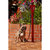 Hunde Anleinpfosten, einfaches Befestigen der Hundeleine, Höhe: 90 cm