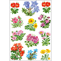 HERMA Decorative labels DECOR mountain flowers 3 sheets öntapadós címke
