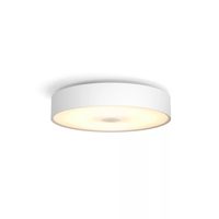 Philips Hue White ambience Fair ceiling light