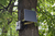 Technaxx 4987 telecamera di sorveglianza Scatola Esterno 2560 x 1440 Pixel Parete