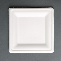 Fiesta Compostable kompostierbare Teller aus Bagasse quadratisch 26,1cm (50