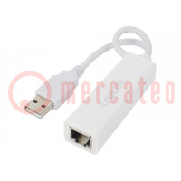 Adaptateur USB pour Fast Ethernet; USB 2.0; blanc