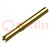 Test needle; Operational spring compression: 3.4mm; 4A,5.5A
