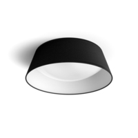 Philips Functional Ceiling light