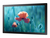 Samsung QB13R-T 33 cm (13") Wi-Fi 250 cd/m² Full HD Fekete Érintőképernyő
