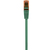Renkforce RF-5245792 hálózati kábel Zöld 2 M Cat6 U/UTP (UTP)