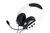 Raptor Gaming RG-H200-W headphones/headset Wired Head-band Black, White
