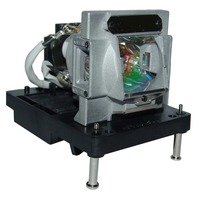 NEC NP-PH1000U Module de lampe de projecteur (ampoule d'origine à l'int&e