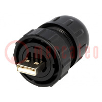 Stekker; USB A; Data-Con-X; voor draad; recht; USB 2.0; IP67,IP68