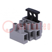 Bloque de bornas; borna de tornillo; 0,5÷2,5mm2; 250V; 6,3A; gris