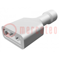 Connecteur: plat; 6,35mm; 0,8mm; femelle; 0,3÷0,9mm2; serrage