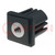 Plugs; for feet fastening,for profiles; H: 43mm; Mat: polyamide