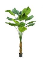 Artificial Silk Licuala Grandis Palm FR - 200cm, Green