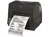 CL-S6621 - Etikettendrucker, Thermotransfer, 203dpi, USB + RS232, schwarz - inkl. 1st-Level-Support