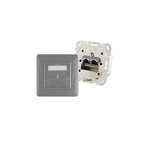 shiverpeaks BS74280-GR Steckdose RJ-45 Grau, Silber