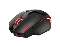 Trust GXT 130 mouse RF Wireless Optical 2400 DPI