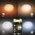 Philips Hue White and Color ambiance Flourish Deckenleuchte