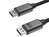 LINQ byELEMENTS LQ48025 cavo DisplayPort 2 m Nero
